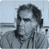 علیرضا محمدی گچسری