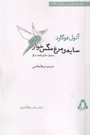 سایه مرغ مگس خوار /ش.ر/ افراز