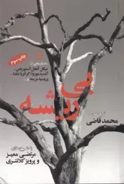 بی ریشه /ش.ر/ پنجره