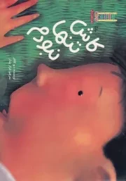 کاش تنها نبودم /ش.ب/ نردبان