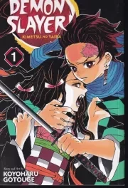 demon slayer 1/شیطان کش 1/انگلیسی/ش/معیار علم