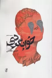 خوابگردی /ش.ر/ آگه