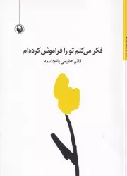 فکر می‌کنم تو را فراموش کرده‌ام /ش.ر/ مروارید