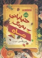 خیابانی به رنگ ماه /ش.ر/ پرتقال