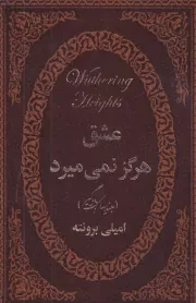 عشق هرگز نمی میرد /چ.ج/ پارمیس