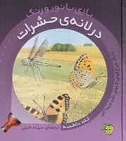 بازی با نور و رنگ در لانه حشرات /گ.خ/ آلوچه