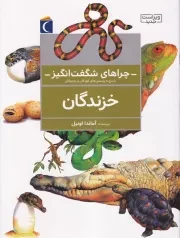 چراهای شگفت انگیز خزندگان /ش.ر*/ محراب قلم