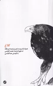 کلاغ /ش.پ/ اتفاق