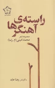 راسته ی آهنگرها /ش.ر/ گل آذین