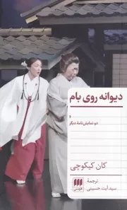 دیوانه روی بام /ش.پ/ هرمس