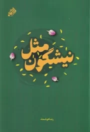 مثل نیشگون /ش.ر/ مشق شب