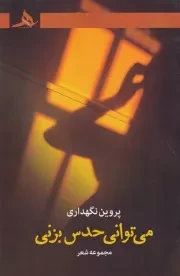 می توانی حدس بزنی /ش.ر/ هرمز