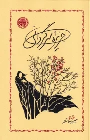 جزیره سرگردانی /ش.ر/ خوارزمی