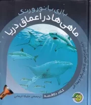 بازی با نور و رنگ ماهی ها در اعماق دریا /گ.خ/ آلوچه