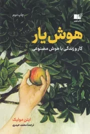 هوش یار /ش.ر/ نوین توسعه