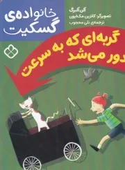 خانواده گسکیت گربه ای که به سرعت می شد /ش.ر/ پنجره