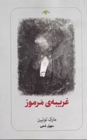 غریبه ی مرموز /ش.پ/ دیدآور