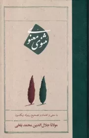 مثنوی معنوی /گ.پ/ امیرکبیر