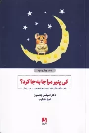 کی پنیر مرا جا به جا کرد؟ /ش.ر/ ذهن آویز