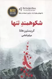 شکوهمند تنها BEST SELLER /ش.ر/ ذهن آویز