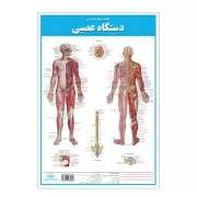 کالبد شناسی دستگاه عصبی/ اندیشه کهن