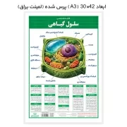 لمینت کالبدشناسی سلول گیاهی / اندیشه کهن