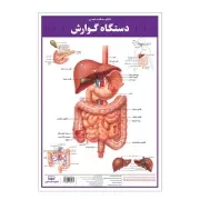 کالبد شناسی دستگاه گوارش / اندیشه کهن